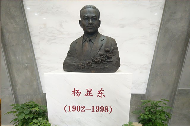 杨显东（大）.jpg